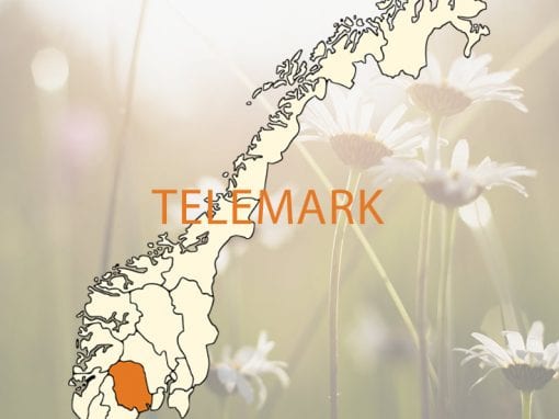 TELEMARK