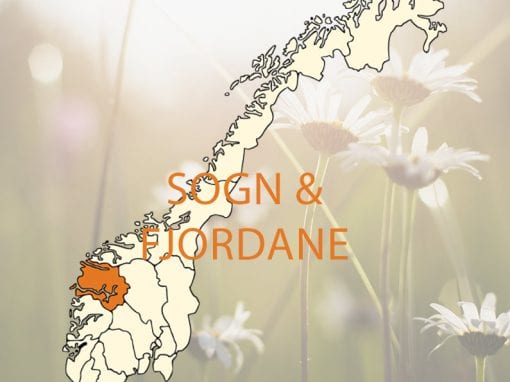 SOGN OG FJORDANE nord